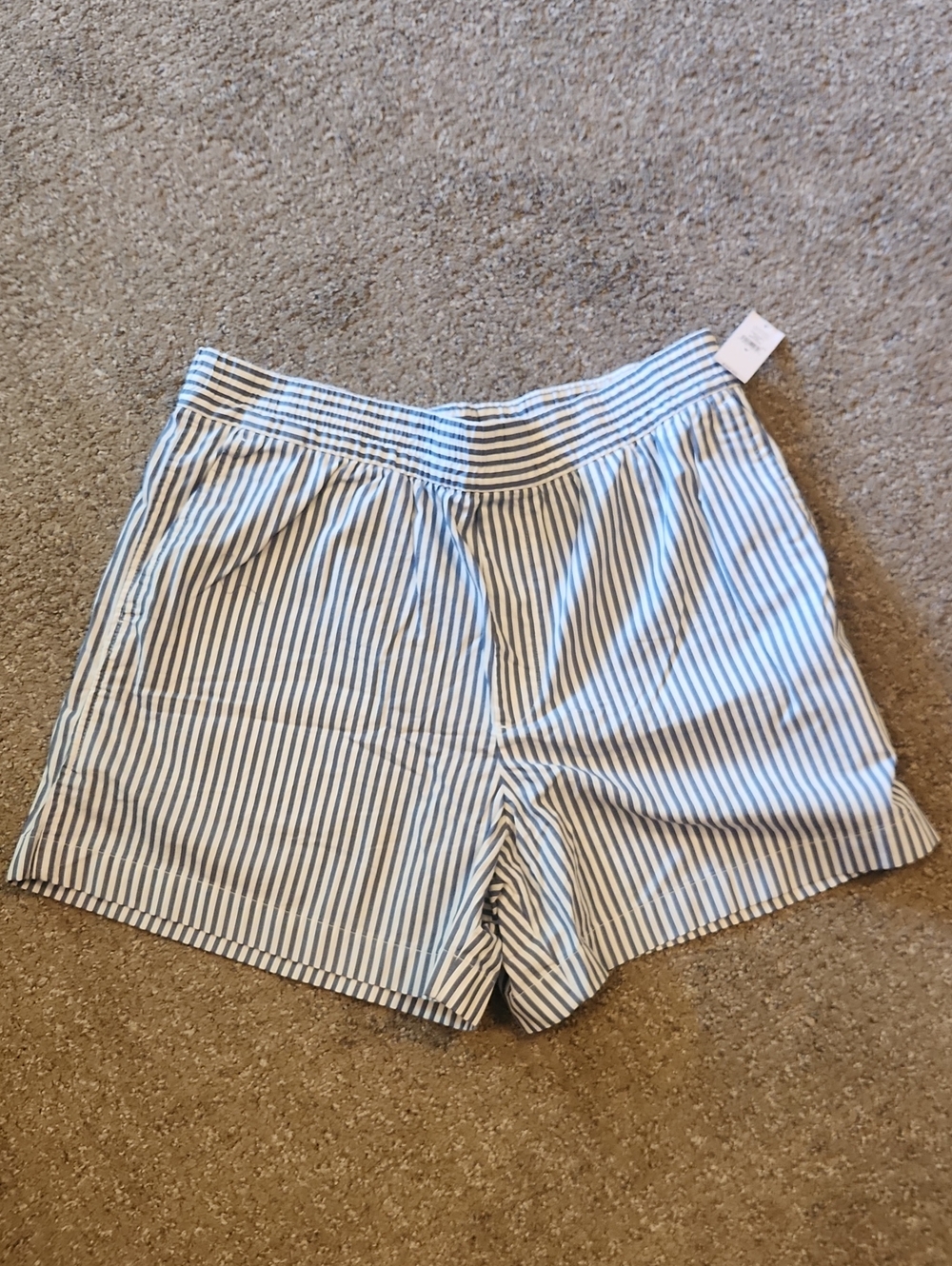 GAP Blue and White Striped Women's Shorts